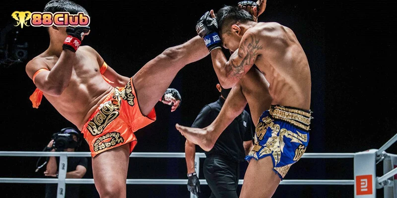 มวยไทยออนไลน์