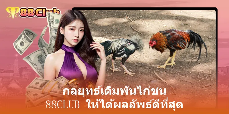 กลยุทธ์เดิมพันไก่ชน 88club ให้ได้ผลลัพธ์ดีที่สุด