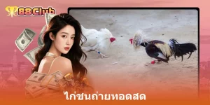 ไก่ชนถ่ายทอดสด