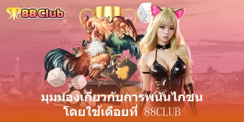 มุมมองเกี่ยวกับการพนันไก่ชน โดยใช้เดือยที่ 88club