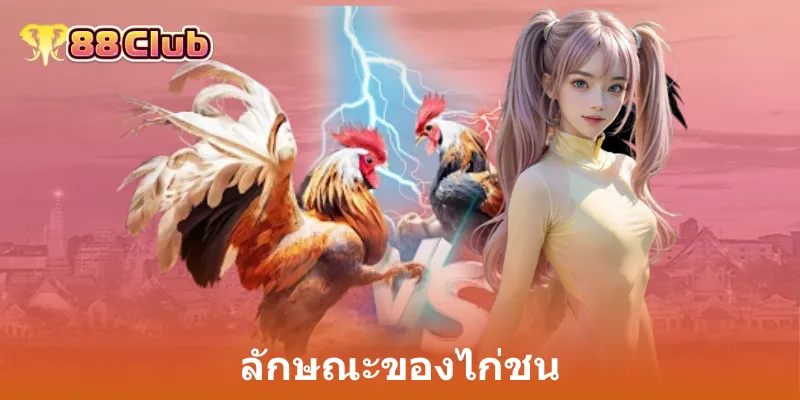 ลักษณะของไก่ชน