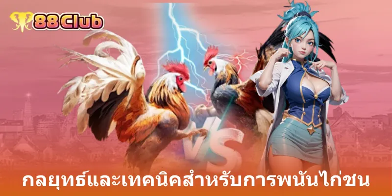กลยุทธ์และเทคนิคสำหรับการพนันไก่ชน