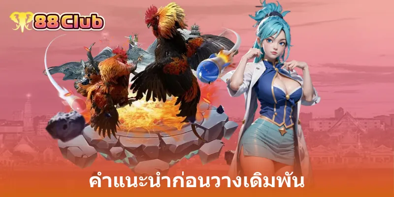 คำแนะนำก่อนวางเดิมพัน